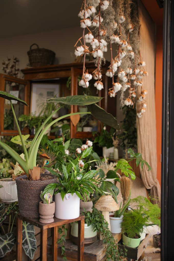 Un doux parfum d'automne photo 6